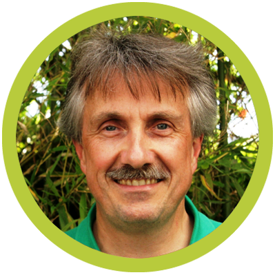 Thomas Pfister - Option 2